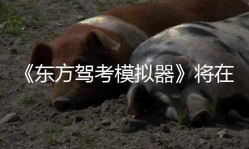 日登陆S在1拟器东平台2月考模方驾将